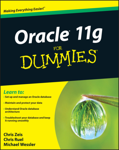 Скачать книгу Oracle 11g For Dummies