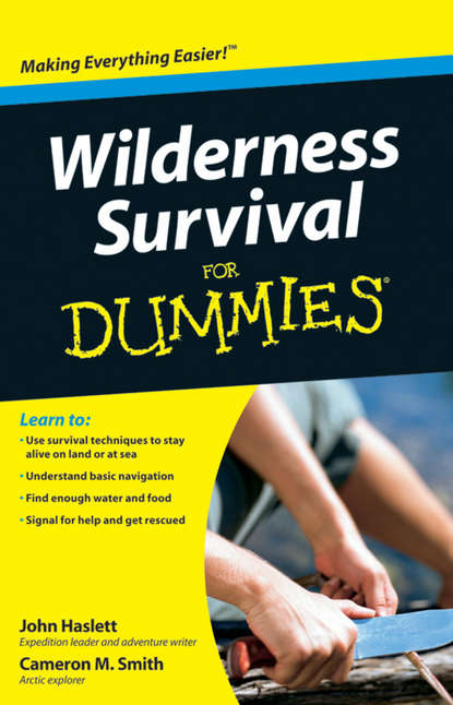 Скачать книгу Wilderness Survival For Dummies