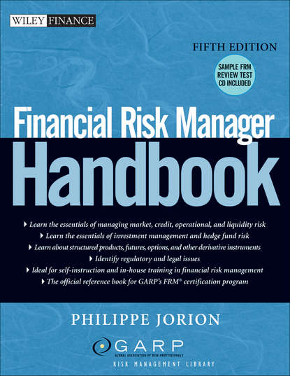 Скачать книгу Financial Risk Manager Handbook