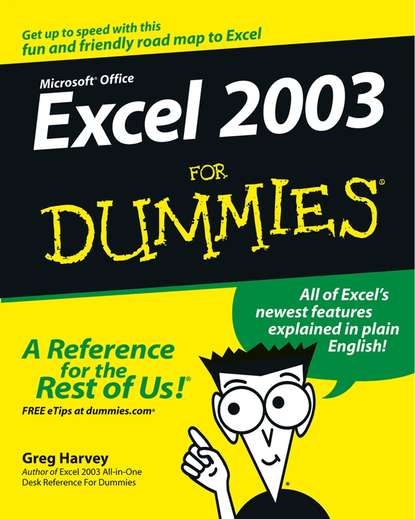 Скачать книгу Excel 2003 For Dummies