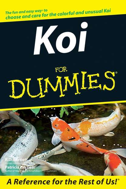 Скачать книгу Koi For Dummies