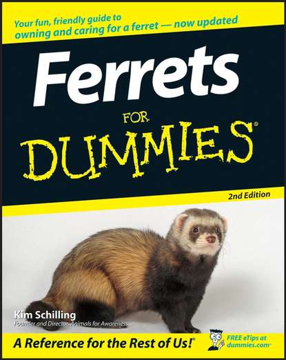 Скачать книгу Ferrets For Dummies