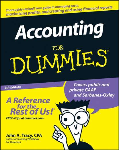 Скачать книгу Accounting For Dummies