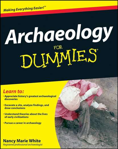 Скачать книгу Archaeology For Dummies