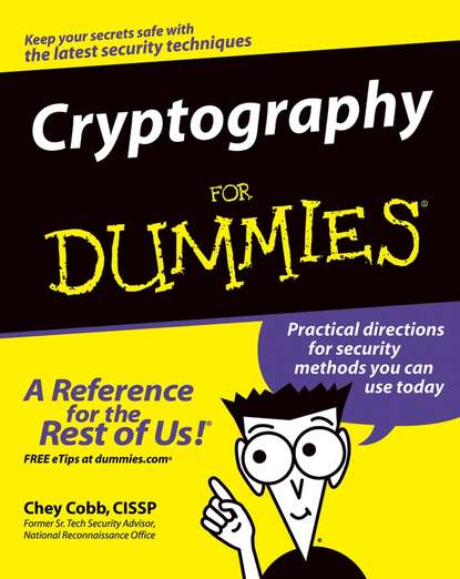Скачать книгу Cryptography For Dummies