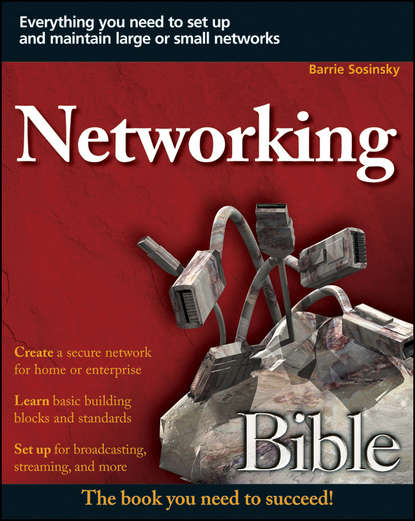 Скачать книгу Networking Bible