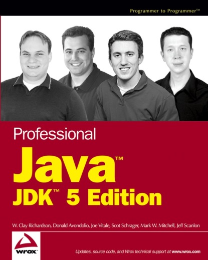 Скачать книгу Professional Java