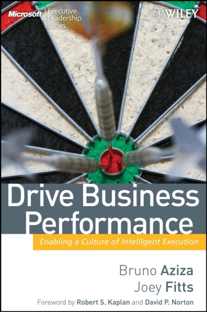 Скачать книгу Drive Business Performance. Enabling a Culture of Intelligent Execution
