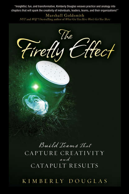 Скачать книгу The Firefly Effect. Build Teams That Capture Creativity and Catapult Results