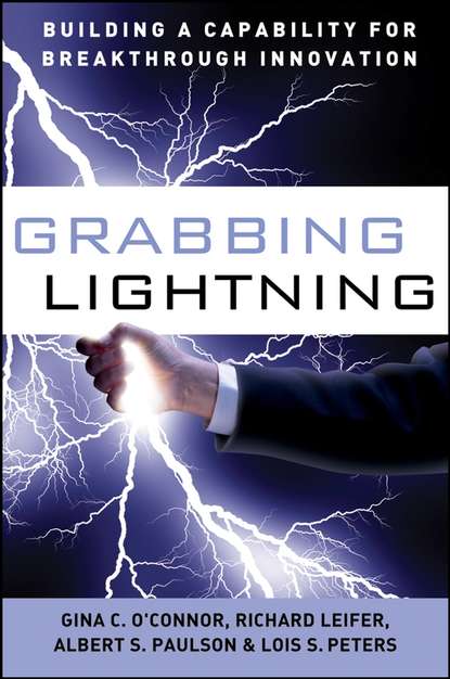 Скачать книгу Grabbing Lightning. Building a Capability for Breakthrough Innovation