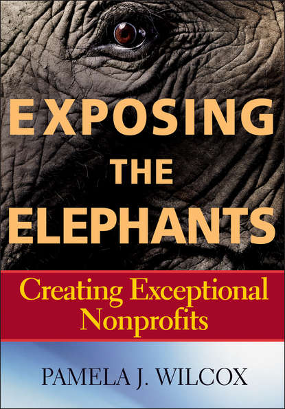 Скачать книгу Exposing the Elephants. Creating Exceptional Nonprofits