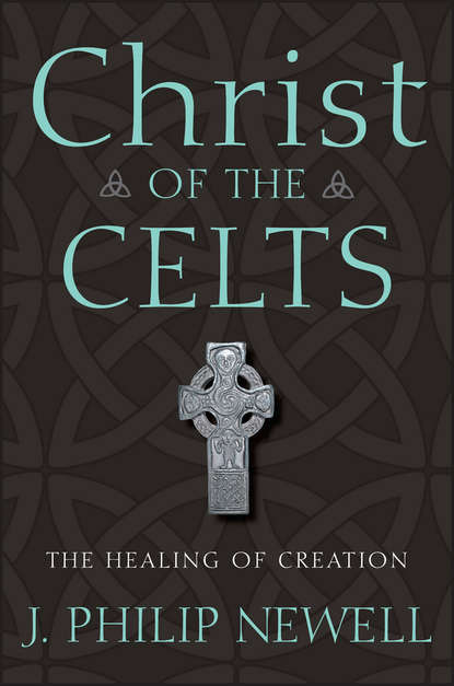 Скачать книгу Christ of the Celts. The Healing of Creation