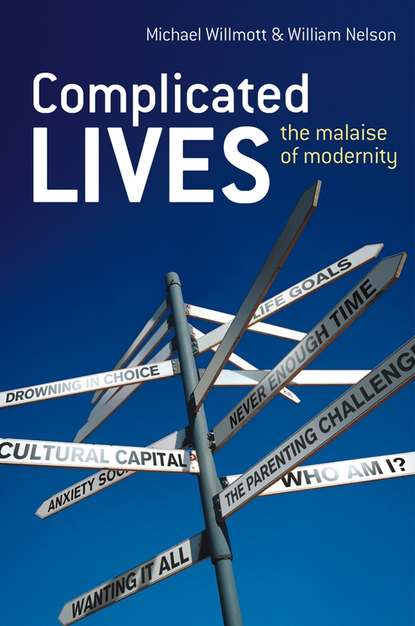 Скачать книгу Complicated Lives. The Malaise of Modernity