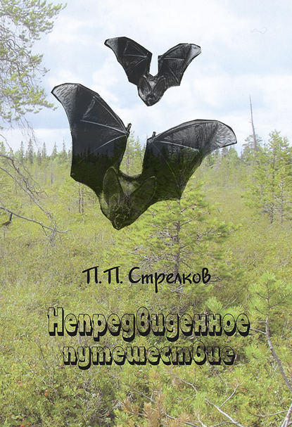 Скачать книгу Непредвиденное путешествие