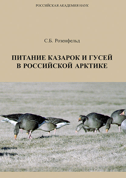 Скачать книгу Питание казарок и гусей в Российской Арктике