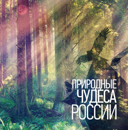Скачать книгу Природные чудеса России
