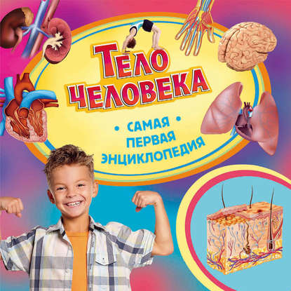 Скачать книгу Тело человека