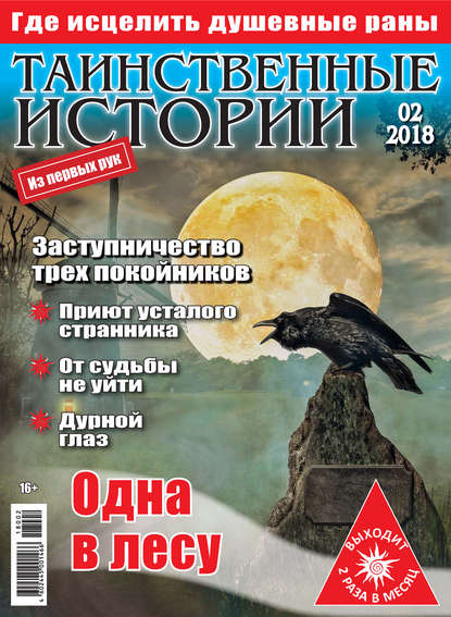 Скачать книгу Таинственные истории №02/2018