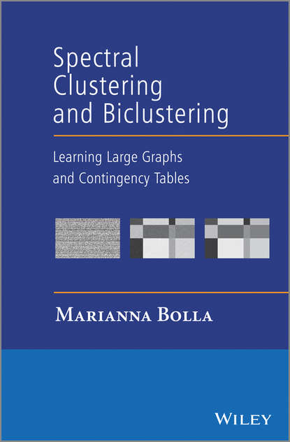 Скачать книгу Spectral Clustering and Biclustering. Learning Large Graphs and Contingency Tables