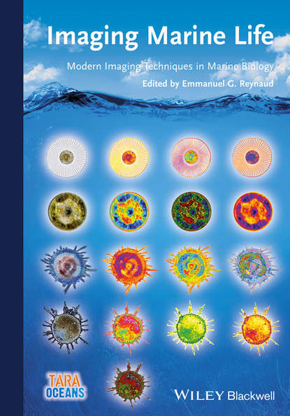 Скачать книгу Imaging Marine Life. Macrophotography and Microscopy Approaches for Marine Biology
