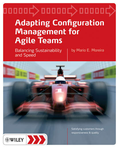 Скачать книгу Adapting Configuration Management for Agile Teams. Balancing Sustainability and Speed