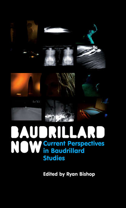 Скачать книгу Baudrillard Now. Current Perspectives in Baudrillard Studies