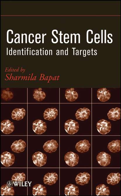 Скачать книгу Cancer Stem Cells. Identification and Targets