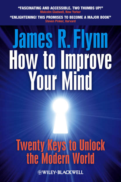 Скачать книгу How To Improve Your Mind. 20 Keys to Unlock the Modern World