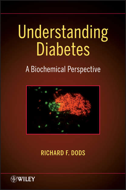 Скачать книгу Understanding Diabetes. A Biochemical Perspective