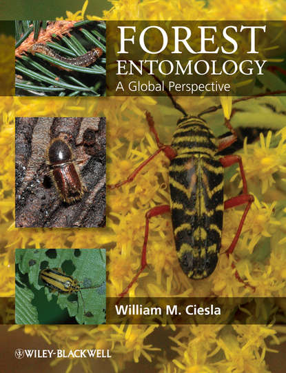 Скачать книгу Forest Entomology. A Global Perspective