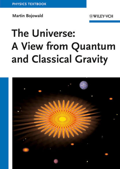Скачать книгу The Universe. A View from Classical and Quantum Gravity