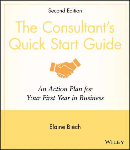 Скачать книгу The Consultant's Quick Start Guide. An Action Planfor Your First Year in Business