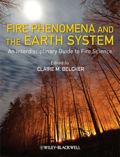 Скачать книгу Fire Phenomena and the Earth System. An Interdisciplinary Guide to Fire Science