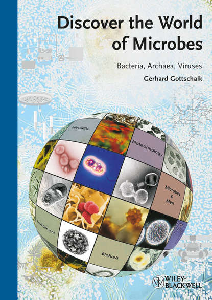 Скачать книгу Discover the World of Microbes. Bacteria, Archaea, Viruses