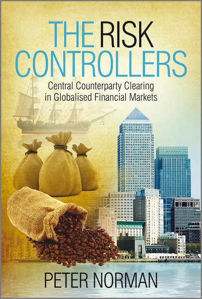 Скачать книгу The Risk Controllers. Central Counterparty Clearing in Globalised Financial Markets