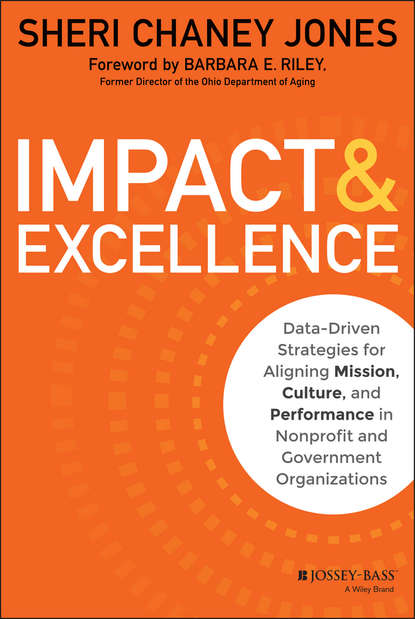 Скачать книгу Impact & Excellence. Data-Driven Strategies for Aligning Mission, Culture and Performance in Nonprofit and Government Organizations