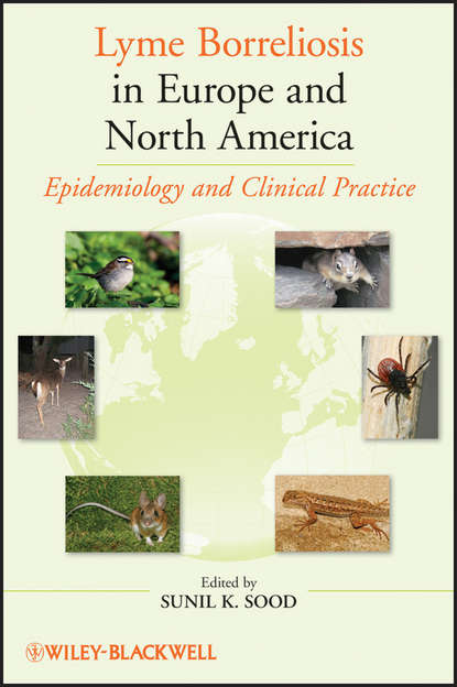 Скачать книгу Lyme Borreliosis in Europe and North America. Epidemiology and Clinical Practice