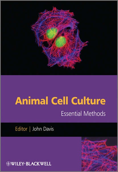 Скачать книгу Animal Cell Culture. Essential Methods