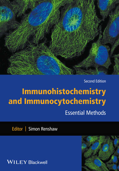 Скачать книгу Immunohistochemistry and Immunocytochemistry. Essential Methods