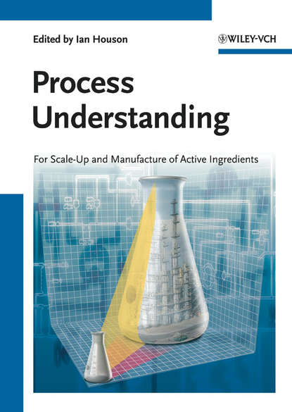 Скачать книгу Process Understanding. For Scale-Up and Manufacture of Active Ingredients