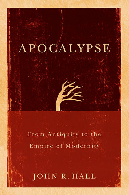 Скачать книгу Apocalypse. From Antiquity to the Empire of Modernity