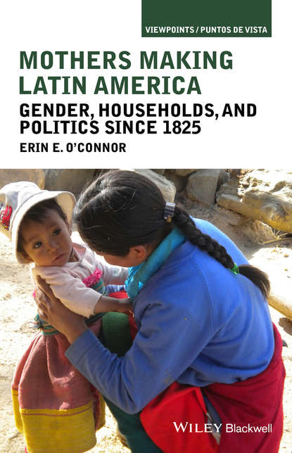 Скачать книгу Mothers Making Latin America. Gender, Households, and Politics Since 1825