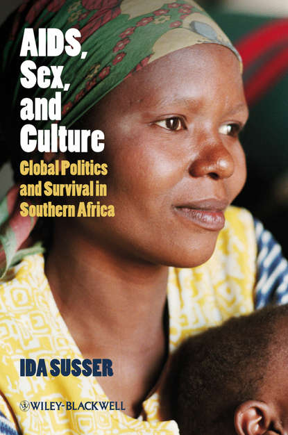 Скачать книгу AIDS, Sex, and Culture. Global Politics and Survival in Southern Africa