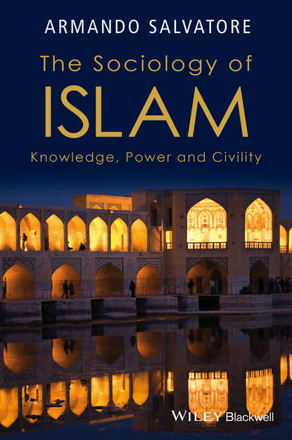 The Sociology of Islam. Knowledge, Power and Civility