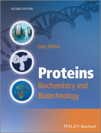 Скачать книгу Proteins. Biochemistry and Biotechnology