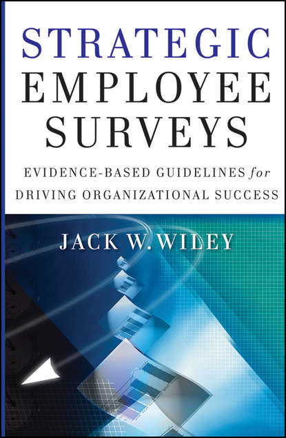 Скачать книгу Strategic Employee Surveys. Evidence-based Guidelines for Driving Organizational Success