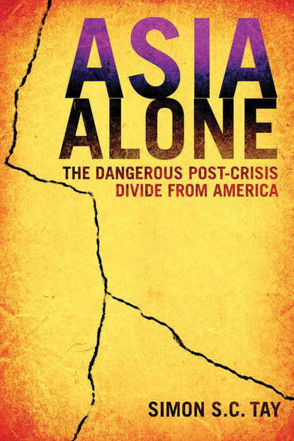 Скачать книгу Asia Alone. The Dangerous Post-Crisis Divide from America