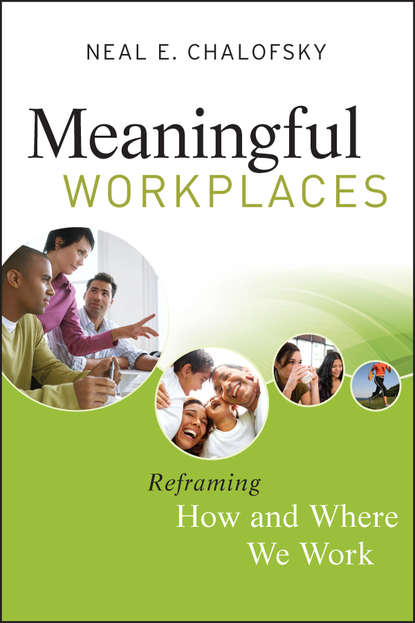 Скачать книгу Meaningful Workplaces. Reframing How and Where we Work