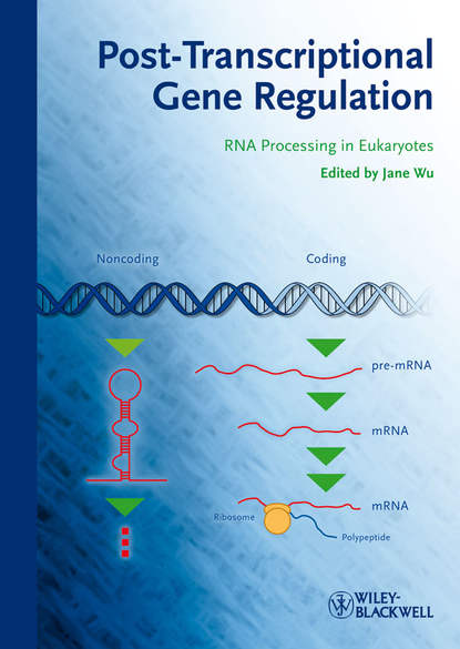 Скачать книгу Post-Transcriptional Gene Regulation. RNA Processing in Eukaryotes