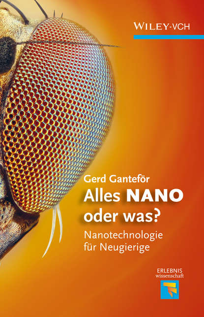 Скачать книгу Alles NANO - oder was? Nanotechnologie für Neugierige